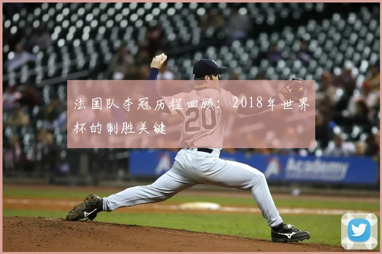 法国队夺冠历程回顾：2018年世界杯的制胜关键