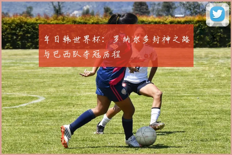 年日韩世界杯：罗纳尔多封神之路与巴西队夺冠历程
