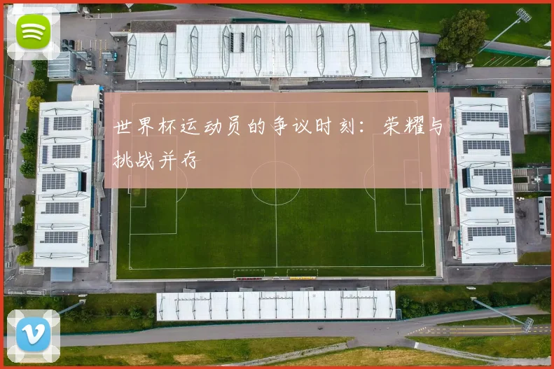 世界杯运动员的争议时刻：荣耀与挑战并存