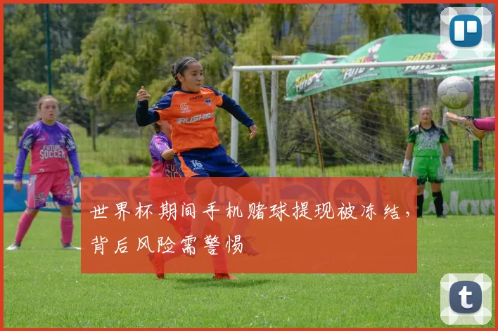 世界杯期间手机赌球提现被冻结，背后风险需警惕