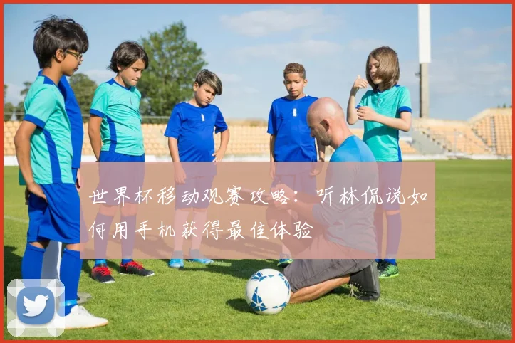 世界杯移动观赛攻略:听林侃说如何用手机获得最佳体验