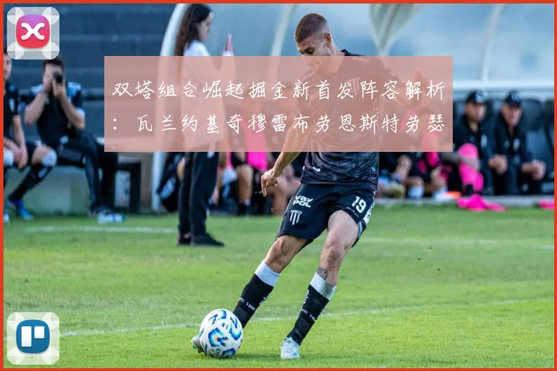 双塔组合崛起掘金新首发阵容解析:瓦兰约基奇穆雷布劳恩斯特劳瑟携手出击