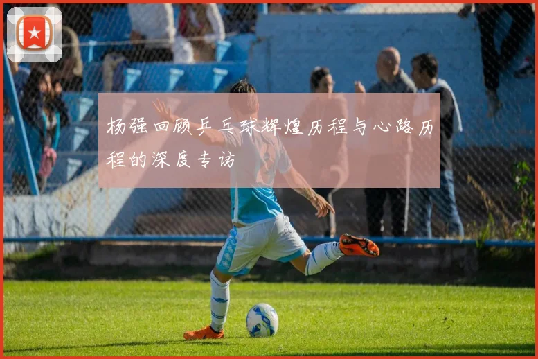 杨强回顾乒乓球辉煌历程与心路历程的深度专访